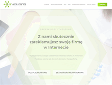 Tablet Screenshot of itholding.pl